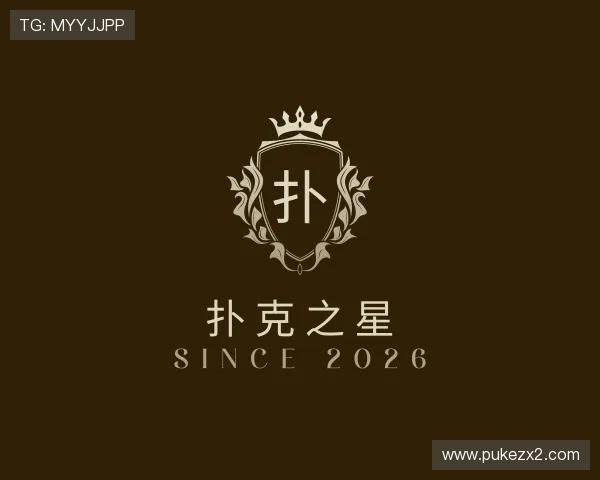 了解扑克之星